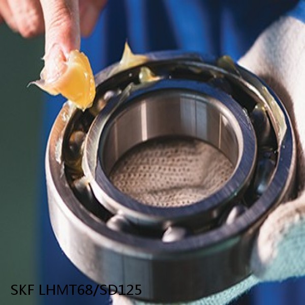 LHMT68/SD125 SKF Bearing Grease