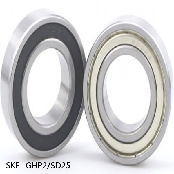 LGHP2/SD25 SKF Bearing Grease