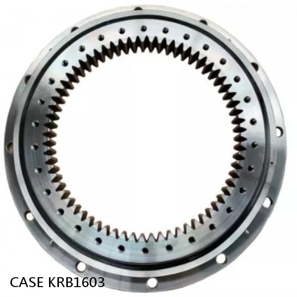 KRB1603 CASE SLEWING RING for CX210