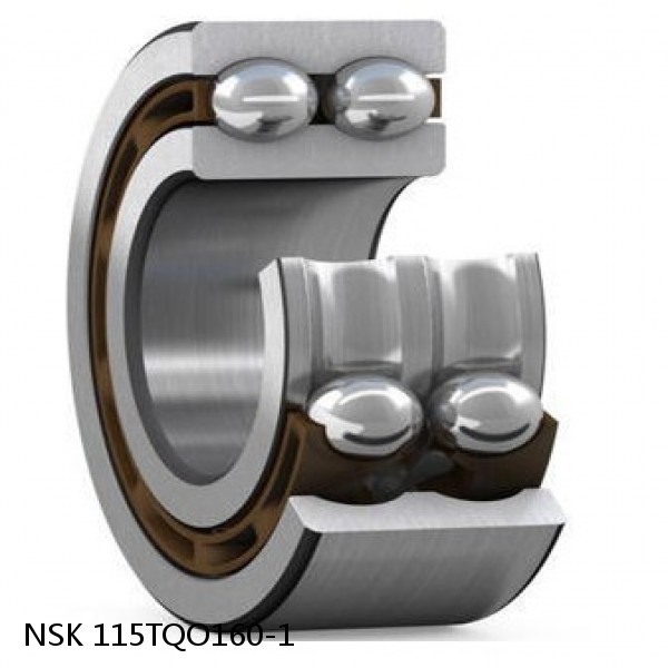 115TQO160-1 NSK Double row double row bearings