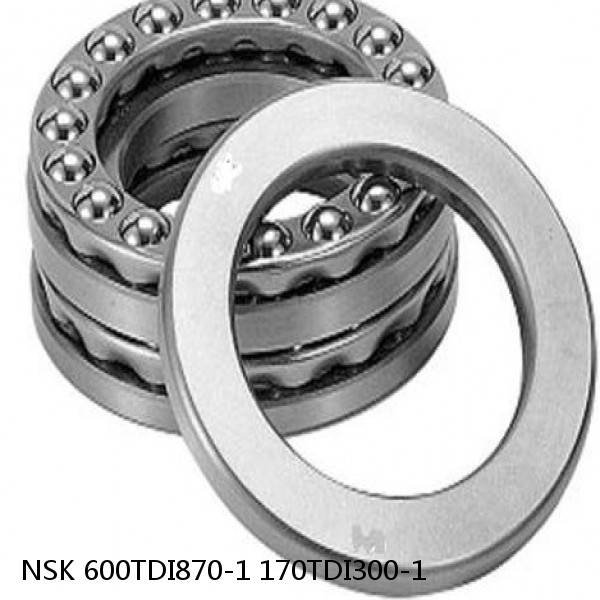 600TDI870-1 170TDI300-1 NSK Double direction thrust bearings