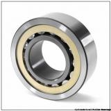 27,5 mm x 55 mm x 17 mm  27,5 mm x 55 mm x 17 mm  INA 712113810 cylindrical roller bearings