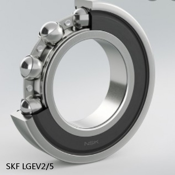 LGEV2/5 SKF Bearing Grease