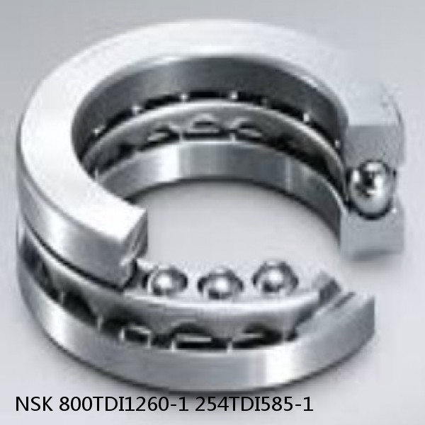 800TDI1260-1 254TDI585-1 NSK Double direction thrust bearings